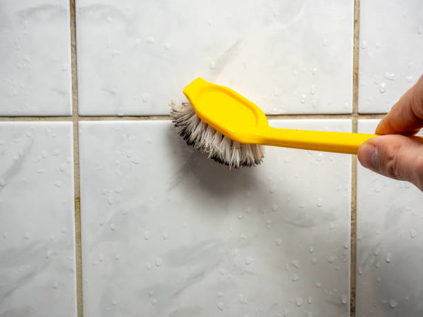 Best Home Mold Removal  in Sellersville, PA