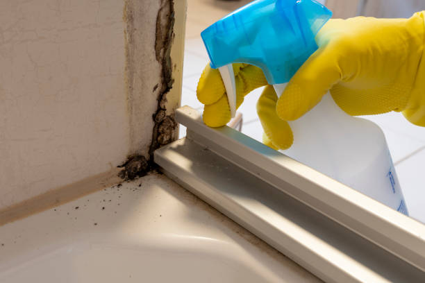 Best Residential Mold Removal  in Sellersville, PA