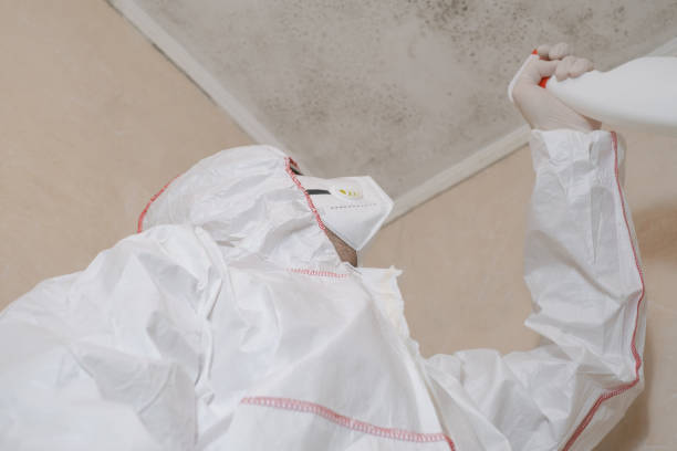 Best Mold Damage Repair  in Sellersville, PA
