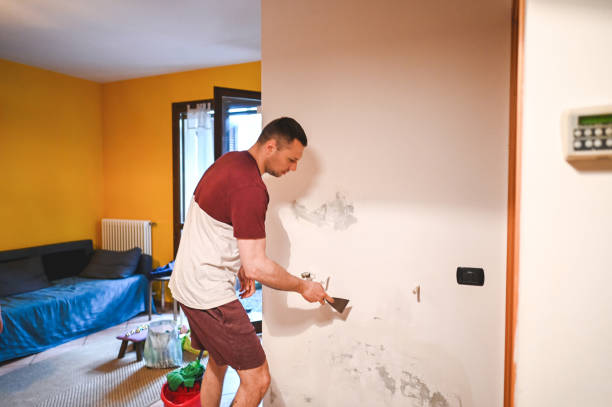 Best Affordable Mold Removal  in Sellersville, PA